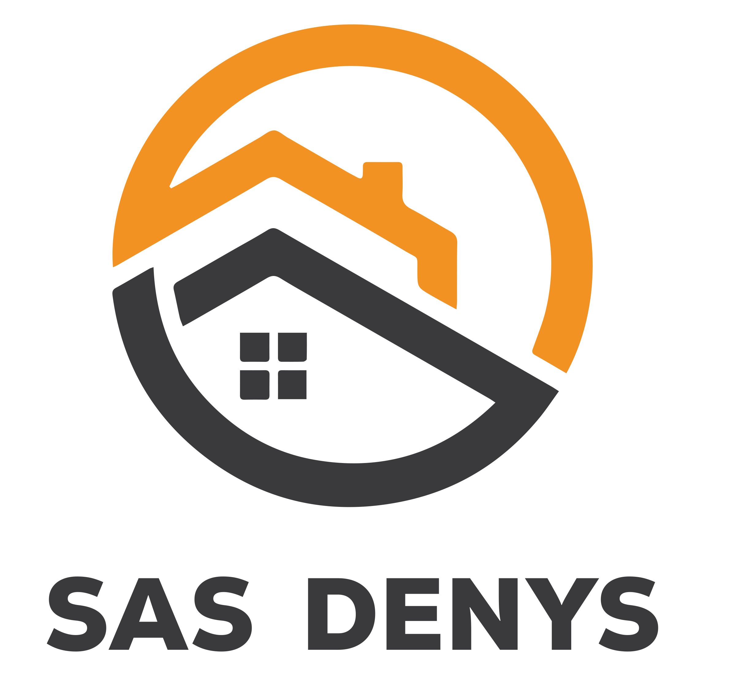 SAS DENYS